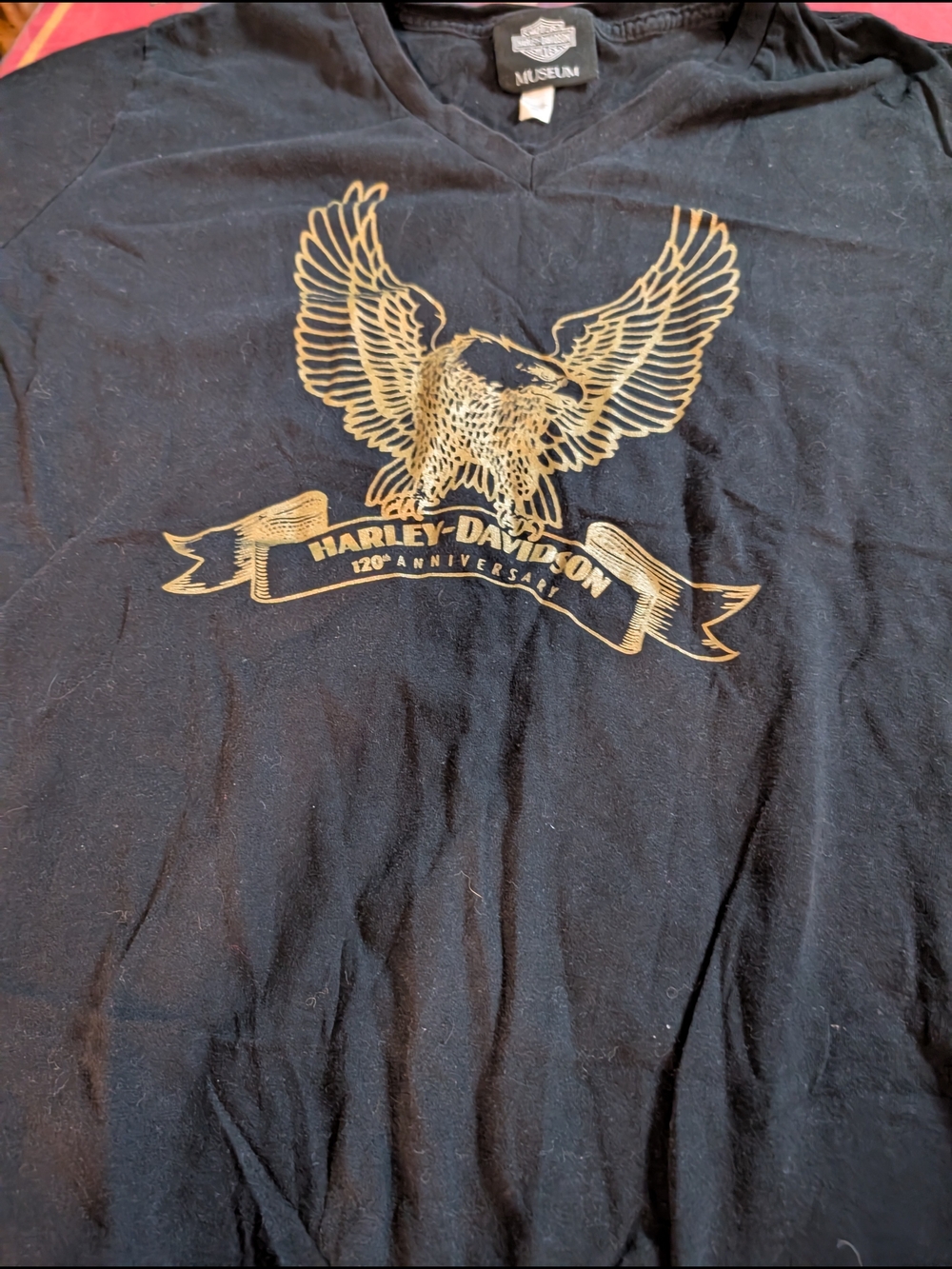 Harley-Davidson Kids Black 120th Anniversary Eagle Graphic Tee